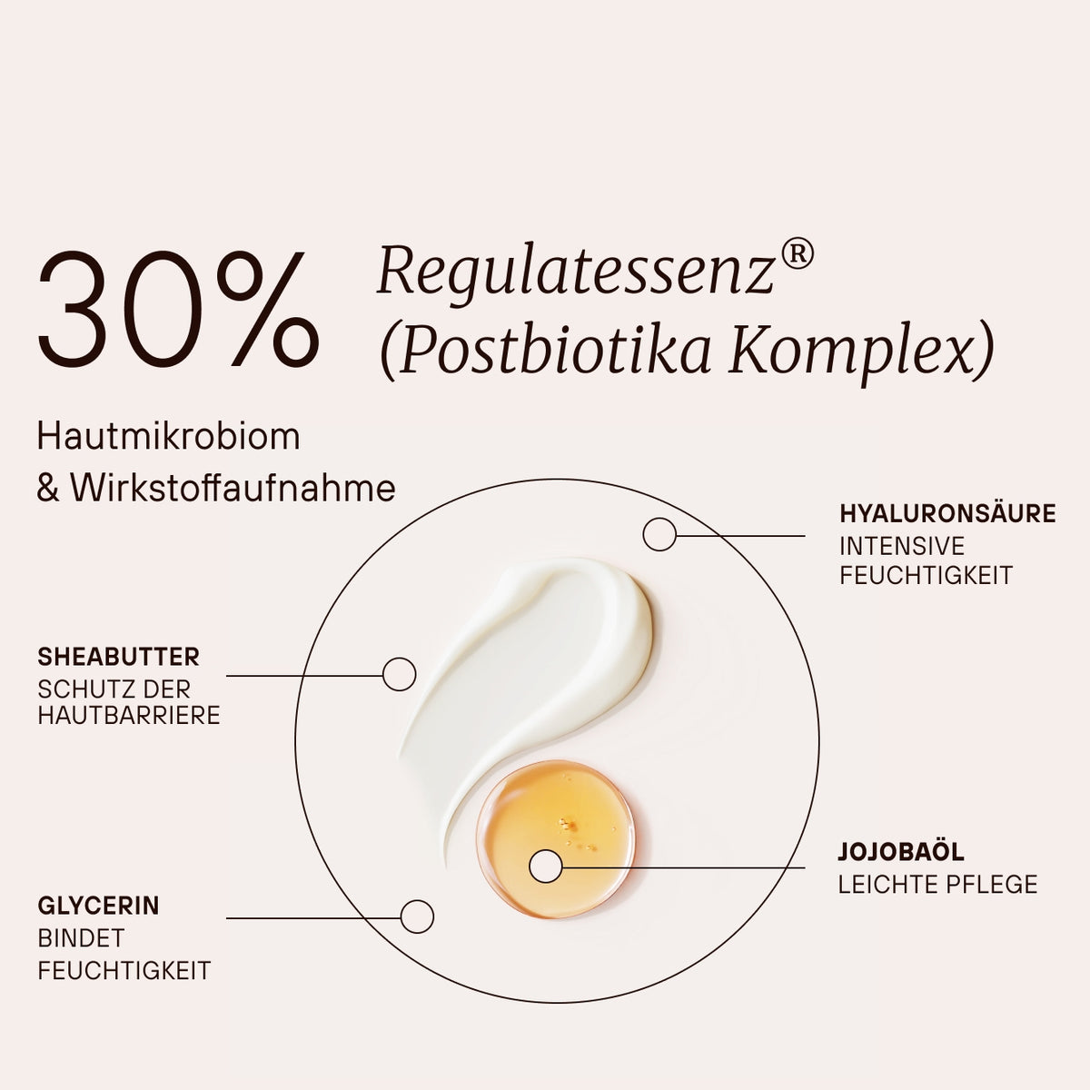 30 % Regulatenessenz® (Postbiotika Komplex) mit Hyaluronsäure, Sheabutter, Glycerin und Jojobaöl.