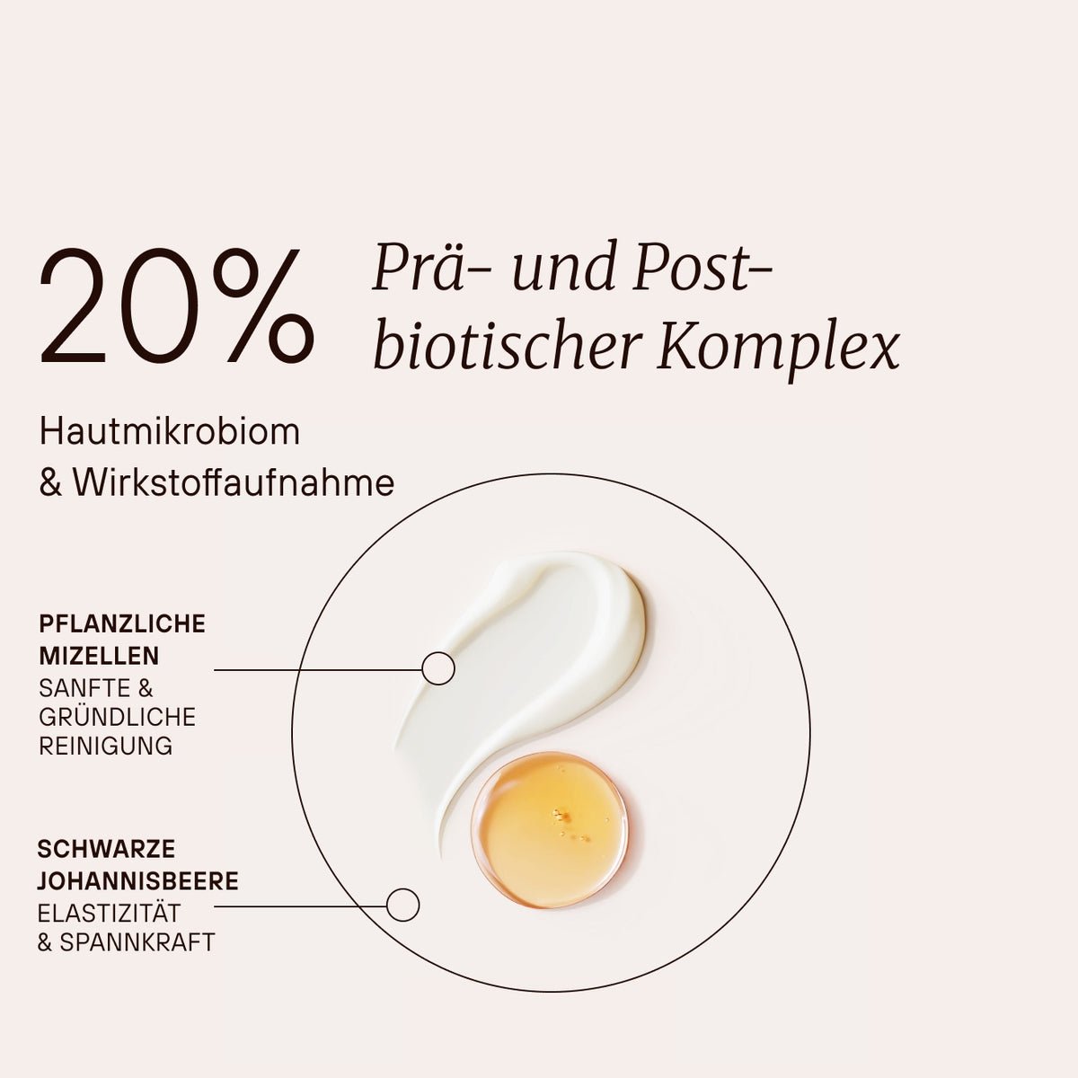 20 % Prä- und Postbiotika-Komplex für Hautmikrobiom und Wirkstoffaufnahme.