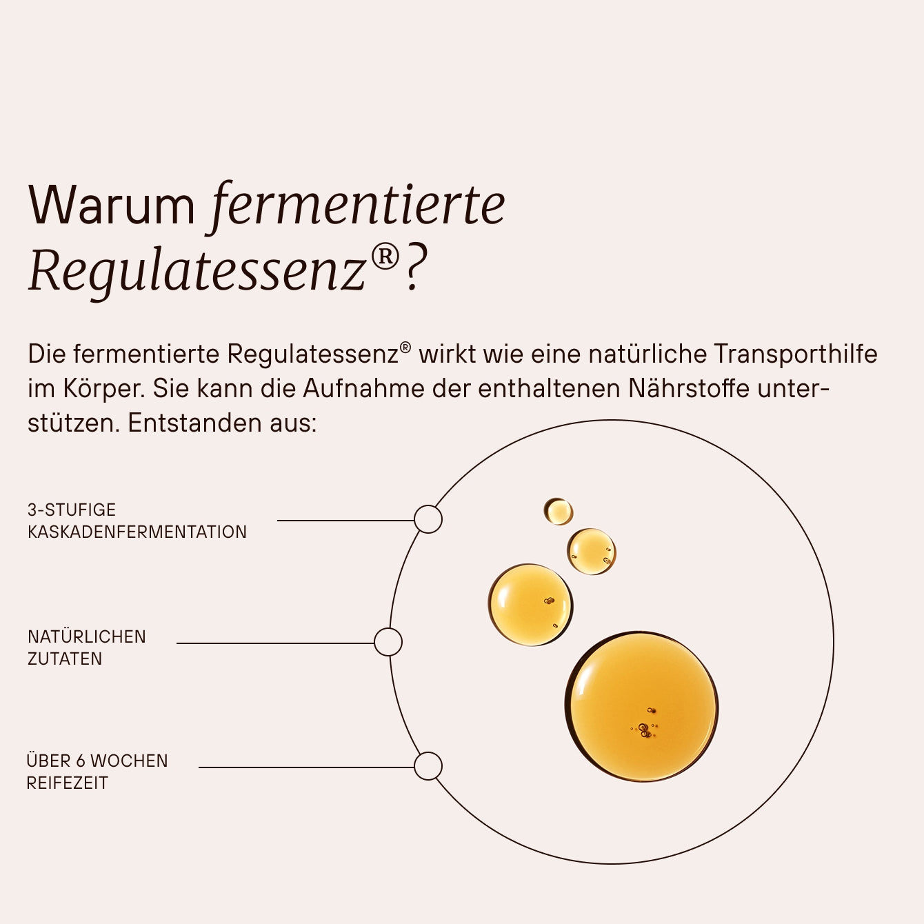 Regulatpro® Bio 10 x 20 ml