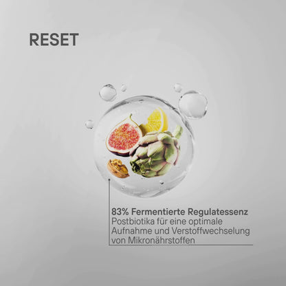 Regulatpro® Active X